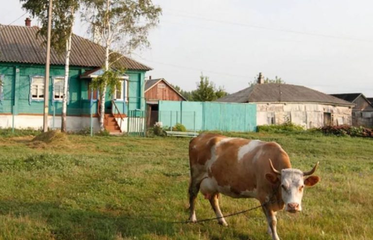 Навіщо ж ти привіз додому це село?- дружина ніяк не вгамувалася, побачивши невістку, не любила вона її з першого ж погляду.