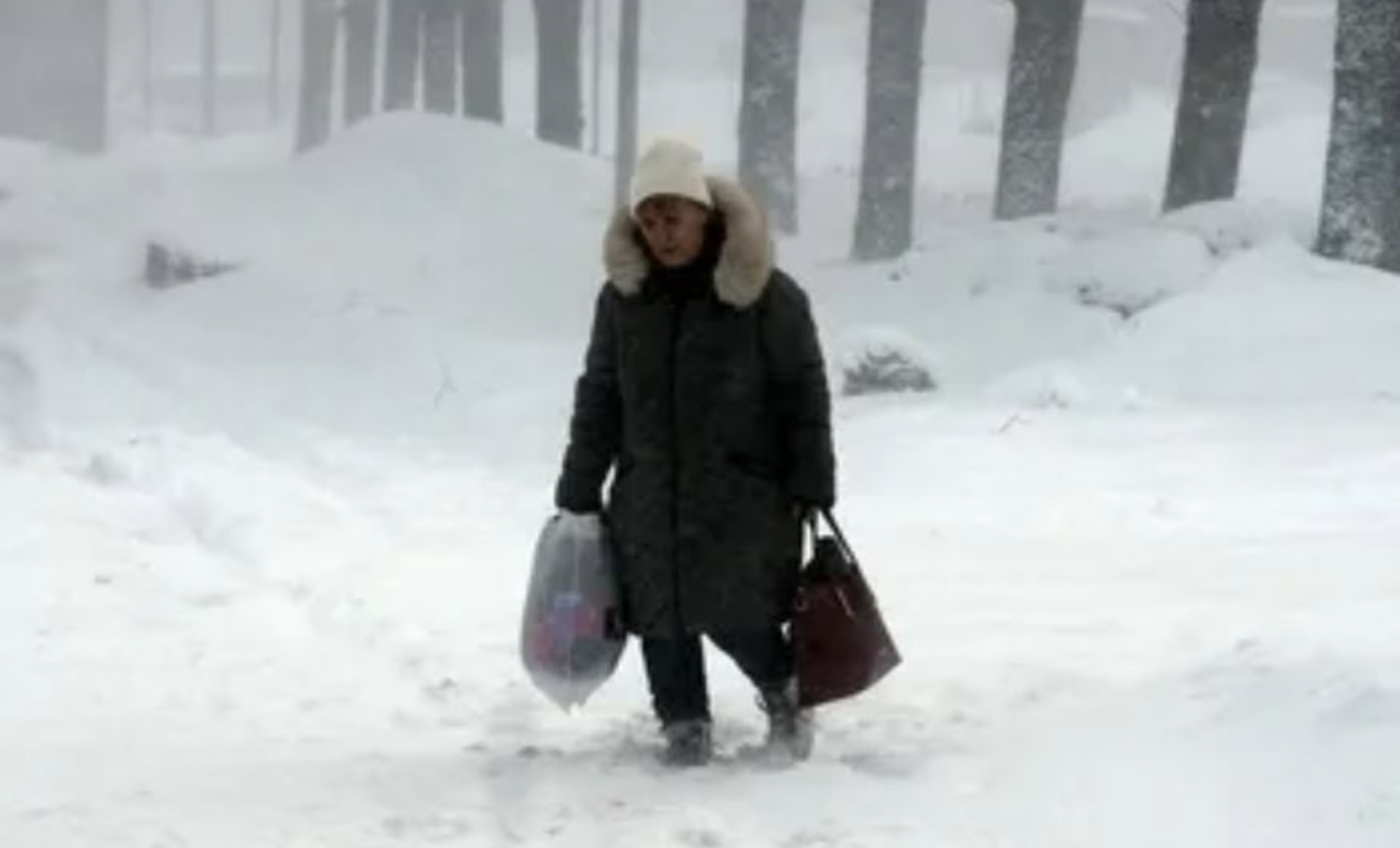 Во время снежной бури дублик тв